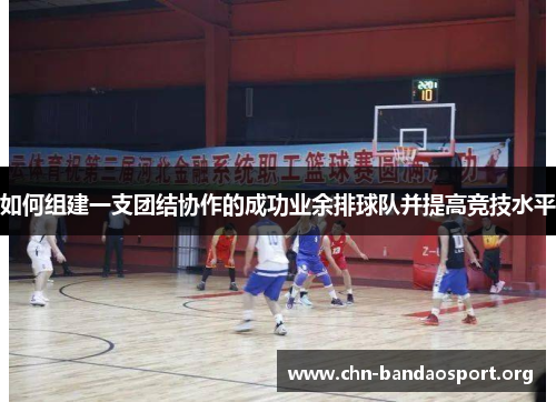 如何组建一支团结协作的成功业余排球队并提高竞技水平